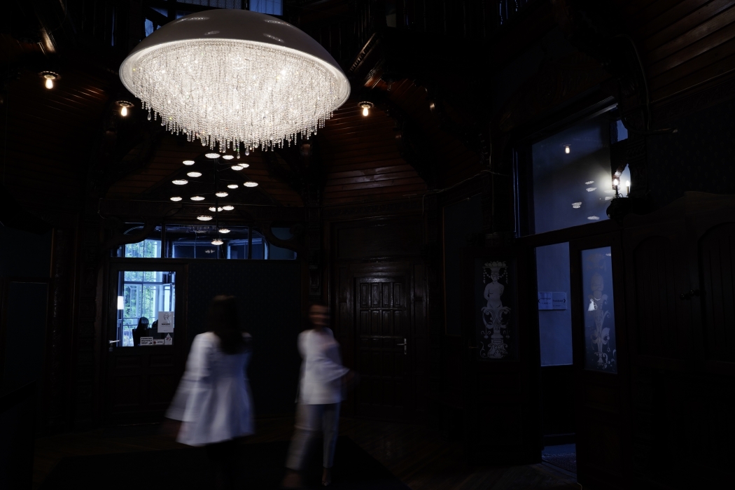 Ozero crystal chandelier