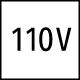 110v